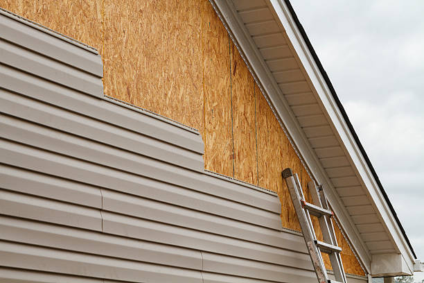 24/7 Emergency Storm Damage Siding Repair experts in Dunellen, NJ